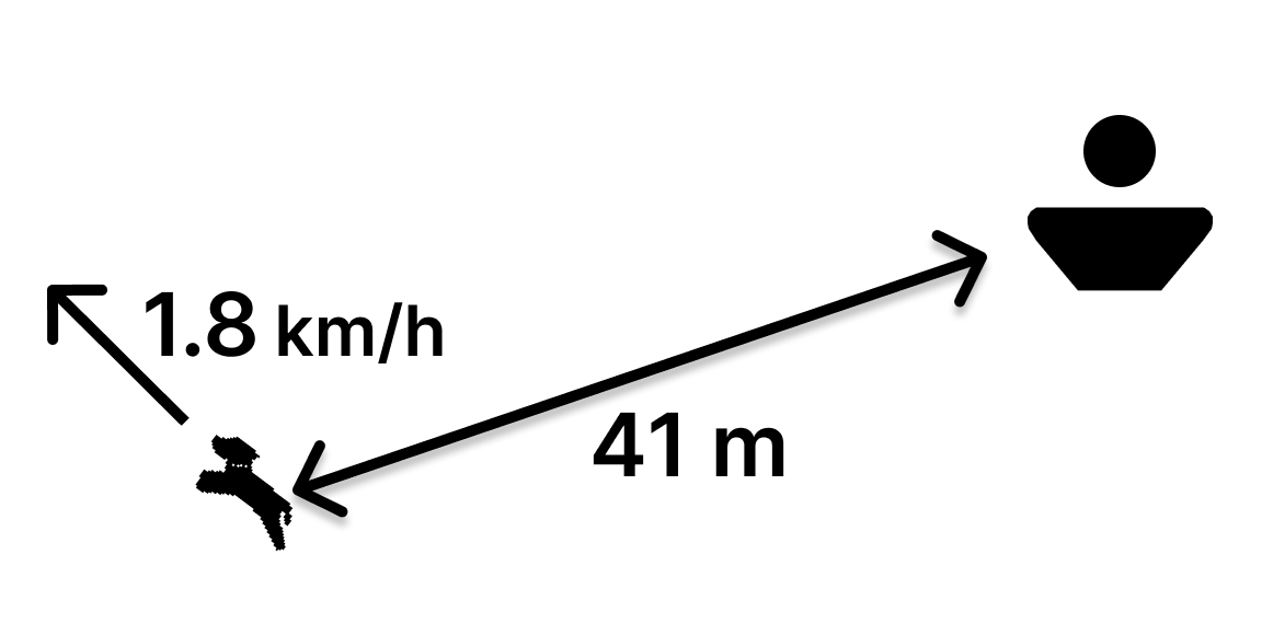Manual del detalle del perro