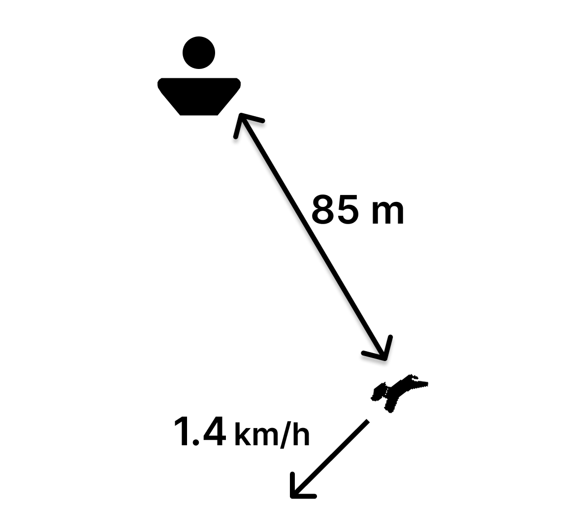 Manual del detalle del perro