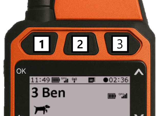 Botones de entrenamiento